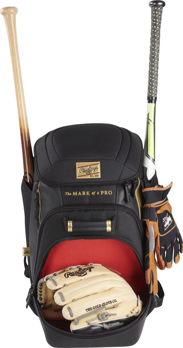 GOLD COLLECTION BACKPACK/ GCBKPK - Imagen 12